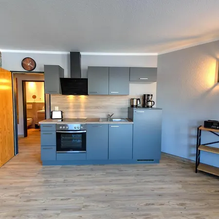 Auszeit-im-harz Haus 5 22 Apartment *