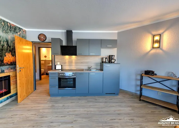 Auszeit-im-harz Haus 5 22 Apartment *