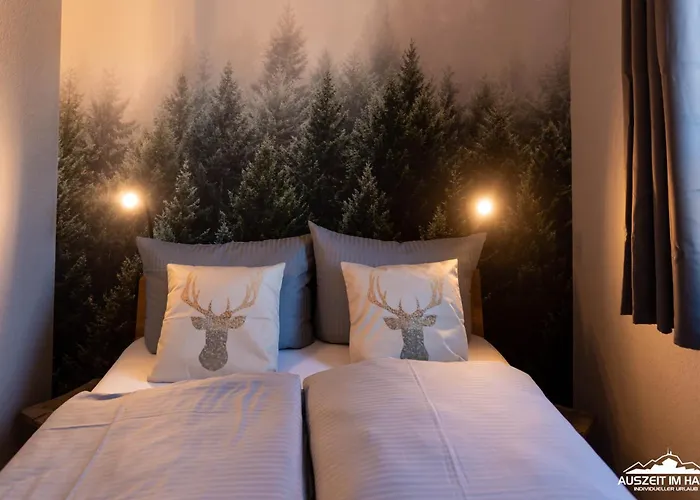 Auszeit-im-harz Haus 5 22